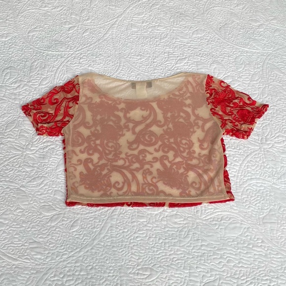 Hot Miami Styles Mesh Embroidered Crop Top - Picture 3 of 6